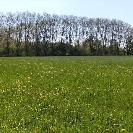 Gite Du Gardien Saint-Martin-de-Crau Zewnętrze zdjęcie