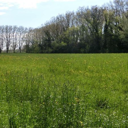 Gite Du Gardien Saint-Martin-de-Crau Zewnętrze zdjęcie