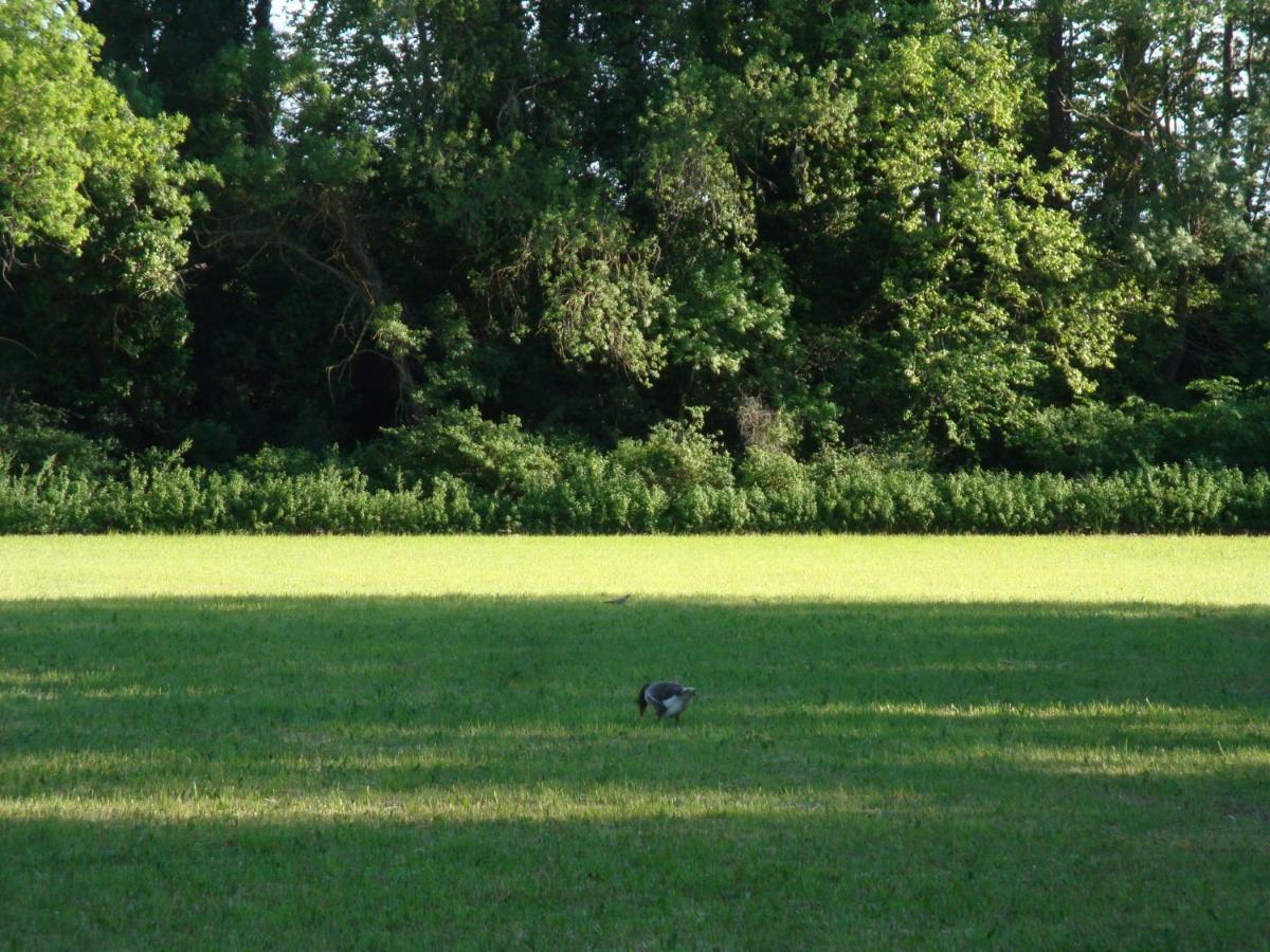 Gite Du Gardien Saint-Martin-de-Crau Zewnętrze zdjęcie