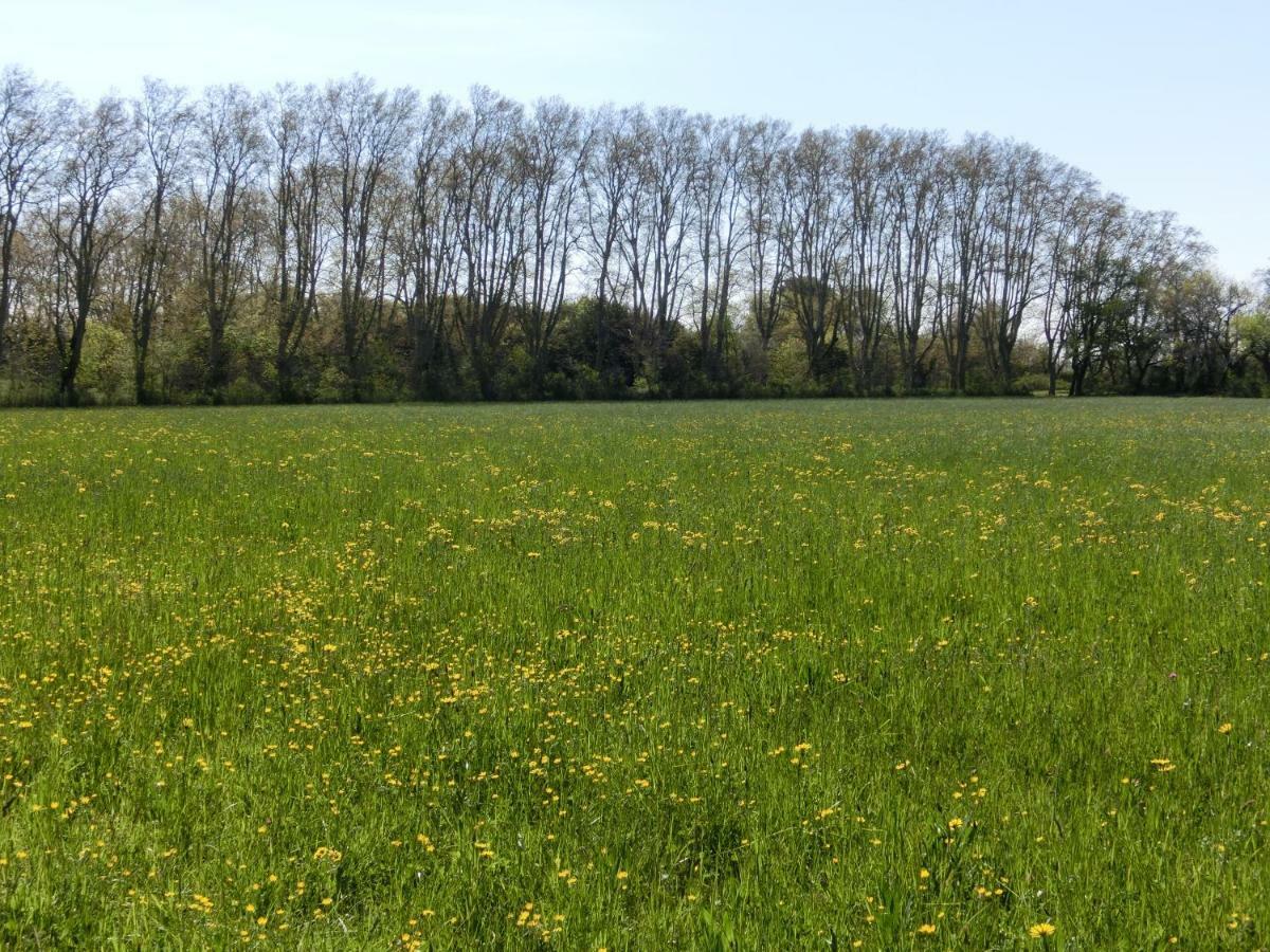 Gite Du Gardien Saint-Martin-de-Crau Zewnętrze zdjęcie