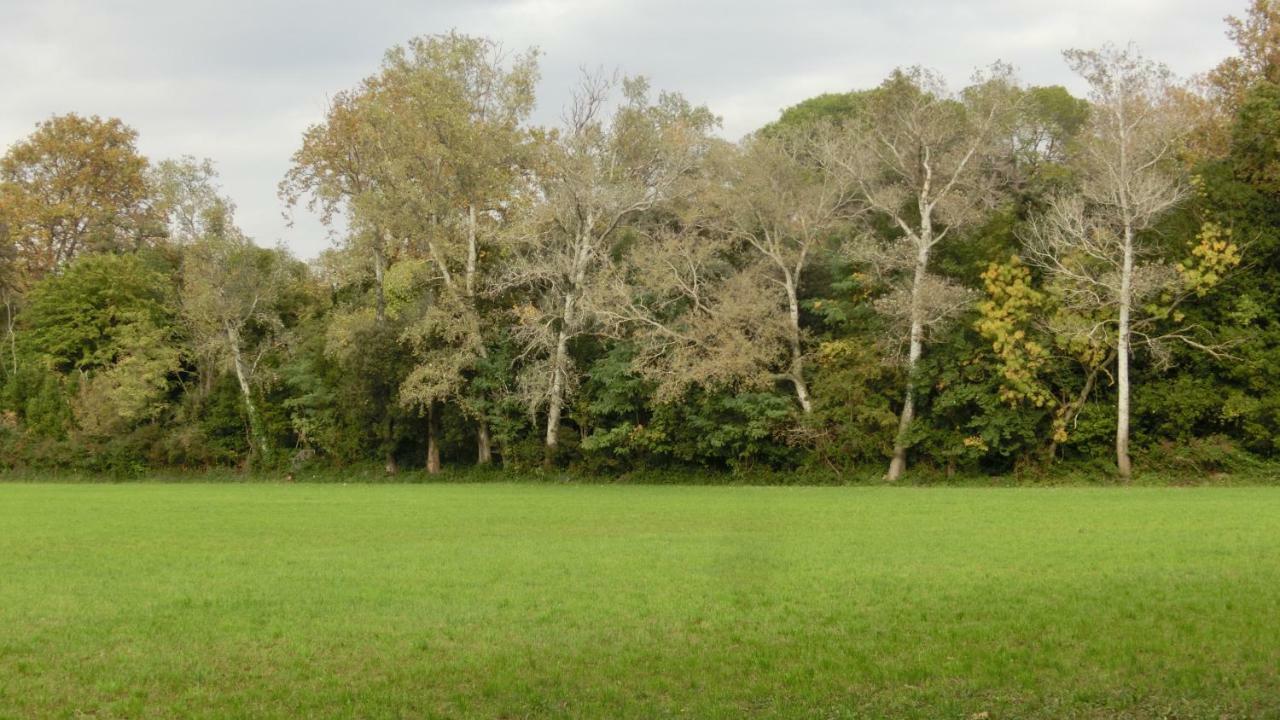 Gite Du Gardien Saint-Martin-de-Crau Zewnętrze zdjęcie