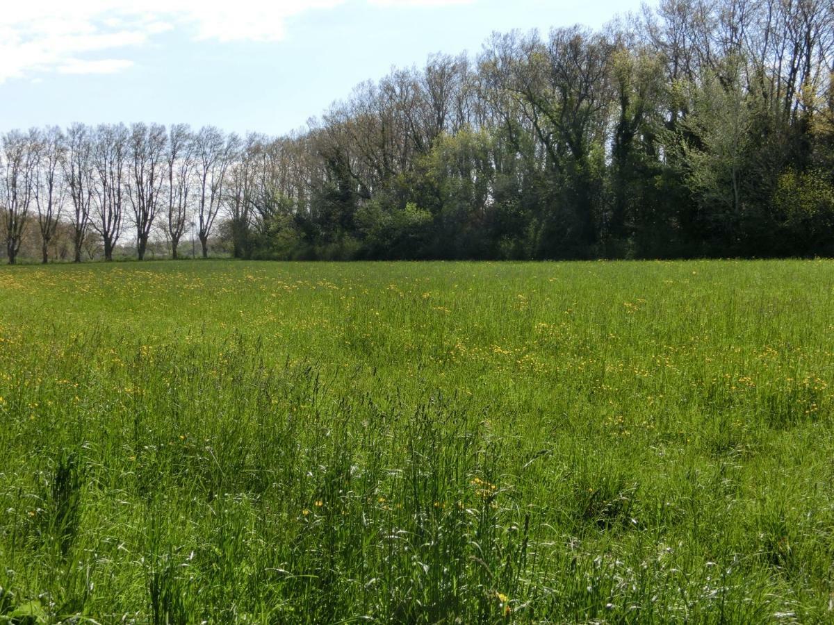 Gite Du Gardien Saint-Martin-de-Crau Zewnętrze zdjęcie
